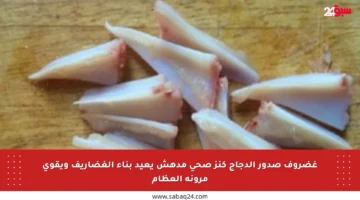 غضروف صدور الدجاج كنز صحي مدهش يعيد بناء الغضاريف ويقوي مرونة العظام